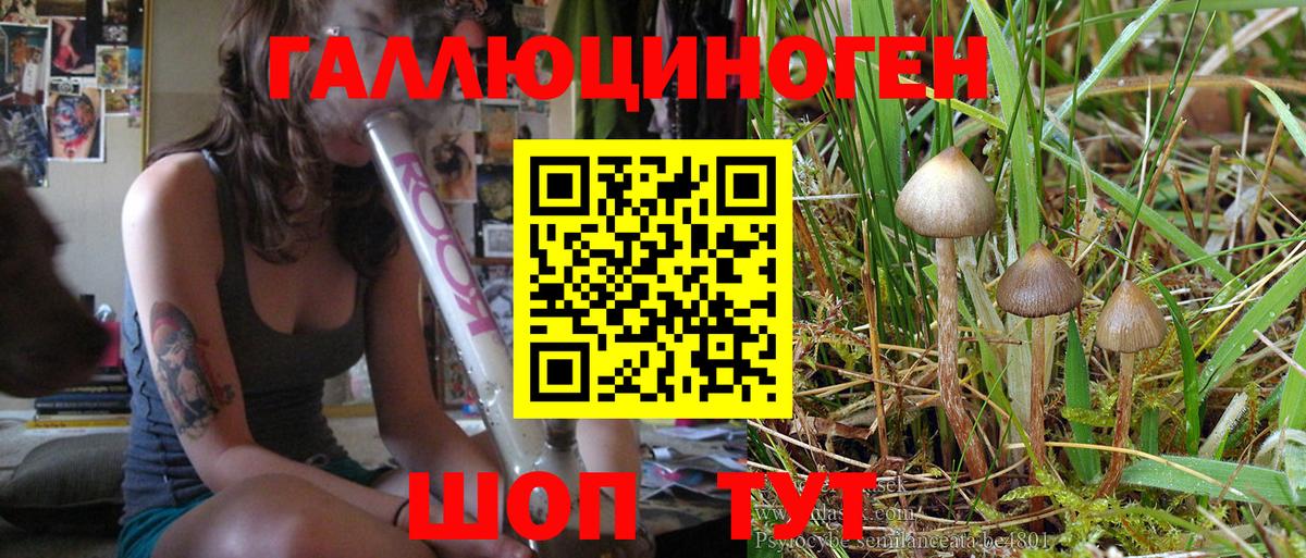 Псилоцибиновые грибы мухоморы  Псилоцибиновые грибы Psilocybe  Вход с VPN  Набережные Челны 